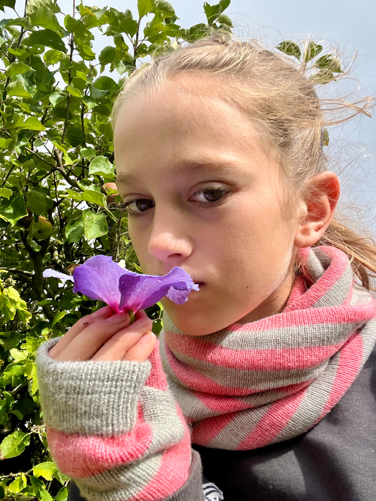 A young girl with blonde hair tied back, wearing a pink and gray striped cashmere snood and matching wristwarmers, holding a purple flower near her face against a background of green leaves and blue sky.